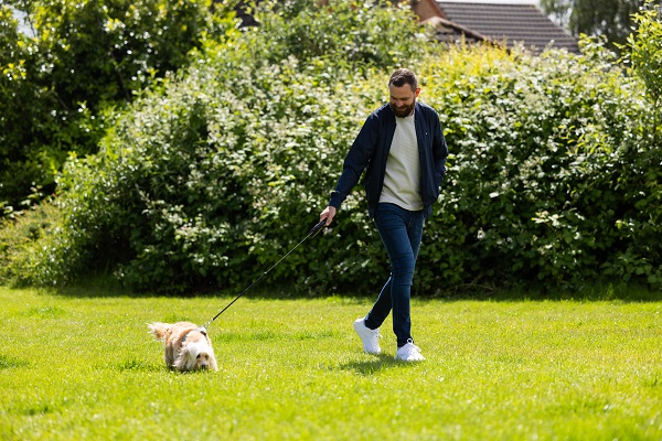 Man Walking Dog Outdoors